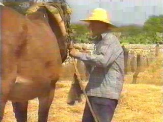 CAMPO - (93)